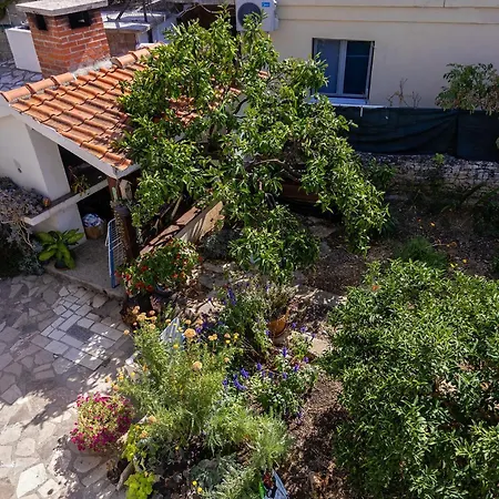 公寓 Zlatko 罗戈兹尼察