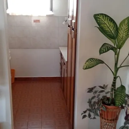 Zlatko Apartment